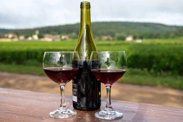 Tour Del Vino Con Degustazione Vino Rosso Secco Rovine Del — Foto Stock