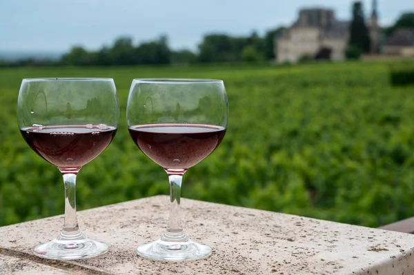 프랑스에서 포도주를 만드는 마을인 파페의 중세성의 폐허와 붉은건 포도주를 맛보는 — 스톡 사진