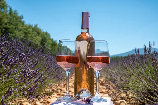 Purple Lavender Flowers Fields Blossom Valensole Provence Glass Bottle Rose — Stock Photo, Image