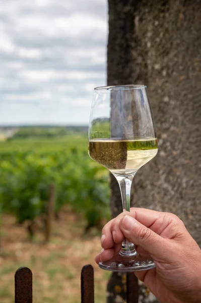 Degustazione Vino Bianco Secco Alta Qualità Ottenuto Uve Chardonnay Vigneti — Foto Stock