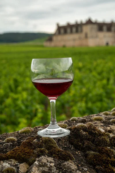 Visit Caves Tasting Red Dry Pinot Noir Wine Glass Premier — ストック写真