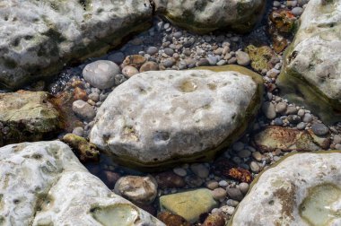 Alçak gelgit dönemi ve okyanusun dibindeki beyaz taşların manzarası ve Fransa 'nın Normandiya eyaletindeki Porte d' Aval kemerinin tebeşir kayalıkları. Turistler için tatil yeri.