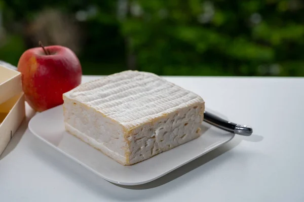 French squared pont l\'eveque cow cheese from Calvados department served with apple and view on green trees and old houses of Etretat, Normandy, France