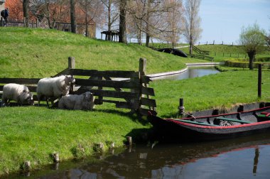 İlkbaharda Hollanda, Enkhuizen 'de tarihi Hollandalı balıkçıların köyünde yürüyüş