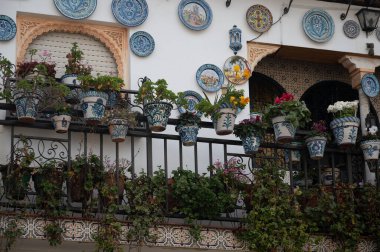 Bahar ayında eski dünya mirası şehri Granada, Endülüs, İspanya 'da yürüyüş