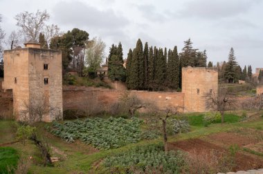 Baharda Granada, Endülüs, İspanya 'daki ortaçağ kalesi Alhambra' da yeşil soğanlı ve geniş fasulyeli sebze bahçelerine bakın.
