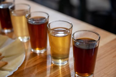 Malaga, Endülüs, İspanya 'nın orta kesimindeki eski şarap barında peynirli ahşap fıçılardan farklı tatlı şaraplar tatmak.