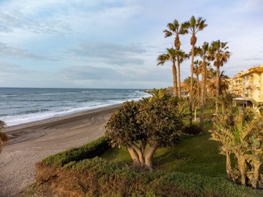Nisanda Costa del Sol, Endülüs, İspanya 'da Torrox Costa' nın palmiye ağaçlarıyla dolu plajlar. Kış boyunca İspanya.