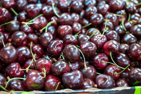 Fresh Ripe Sweet Dark Red Cherry Berries Market — Foto Stock