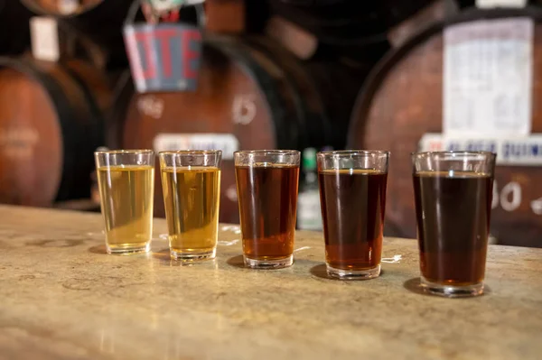 Tasting Different Sweet Wines Wooden Barrels Old Bodega Wine Bar — Fotografia de Stock