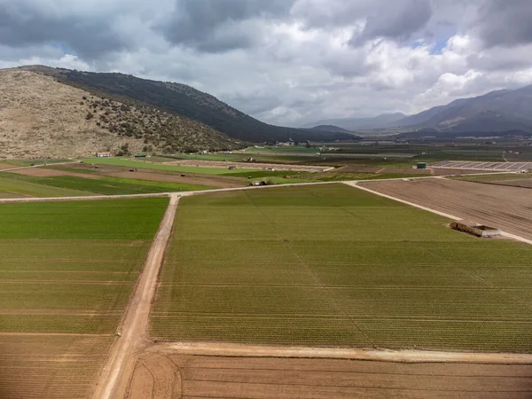Farm fields with rows of green lettuce salad. Aerial view on agricultural valley near town Zafarraya with fertile soils for growing of vegetables, green lettuce salad, cabbage, artichokes, Andalusia, Spain