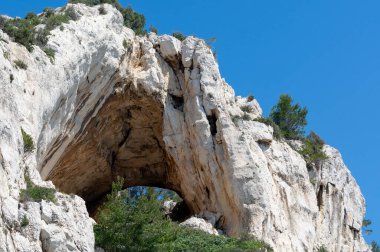 Calanques Ulusal Parkı, Provence, Fransa 'da Akdeniz çam ağaçları beyaz kireçtaşı kayalar ve uçurumlar üzerinde büyüyor