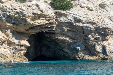 Calanques Ulusal Parkı, Provence, Fransa 'da Akdeniz çam ağaçları beyaz kireçtaşı kayalar ve uçurumlar üzerinde büyüyor