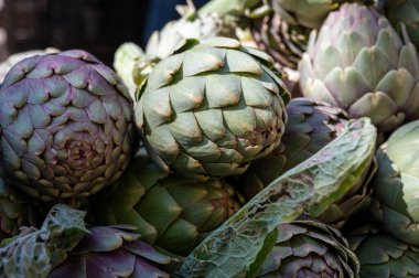 Fransa 'nın Provence kentindeki çiftçi pazarında satılacak taze çiğ enginar fabrikaları.