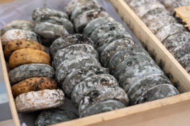 Cassis, Provence, Fransa 'da çiftçi pazarında küflü olgun Fransız keçi peynirleri