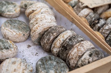 Cassis, Provence, Fransa 'da çiftçi pazarında küflü olgun Fransız keçi peynirleri