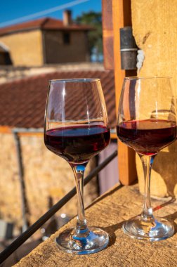 Kırmızı şarap tatma ve ortaçağ Chteauneuf du Pape şatosunun kalıntıları ile şarap turu Fransa 'da eski bir şarap köyü.