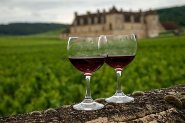 Mağaraları ziyaret edin ve Burgundy 'de şarap üreten ve arka planda şatosu olan bir bölge olan Burgundy' deki büyük ve büyük cru üzüm bağlarında cam şarap tadında kırmızı Pinot şarabı tatın.