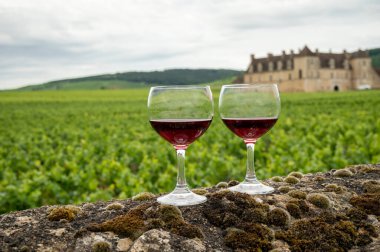 Mağaraları ziyaret edin ve Burgundy 'de şarap üreten ve arka planda şatosu olan bir bölge olan Burgundy' deki büyük ve büyük cru üzüm bağlarında cam şarap tadında kırmızı Pinot şarabı tatın.