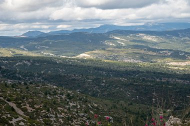 La Ciotat 'tan Cassis' e giden turistik rota D141, kumlu kireçtaşı uçurumları ve yeşil çam ormanları panoramik manzara, Fransa 'nın Provence kentinde tatil