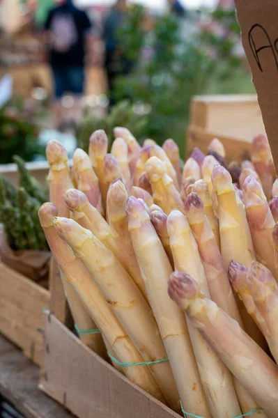 Nisan, Cassis, Fransa 'da Fransız Provencal çiftçi pazarında satılık taze çiğ beyaz kuşkonmaz sebzeleri.
