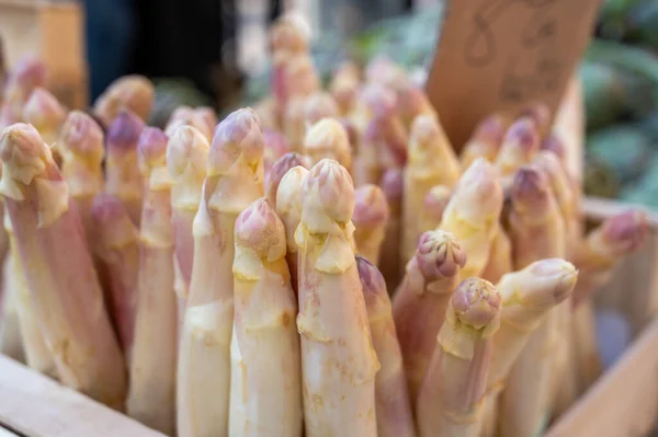 Fresh raw white asparagus vegetables for sale in french Provencal farmers market in april, Cassis, France