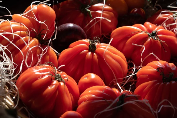 Colorful French Ripe Tasty Tomatoes Assortment Provencal Market Cassis Provence — стоковое фото