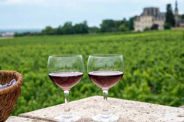 Винный тур с дегустацией красного сухого вина и руин средневекового замка Chteauneuf du Pape древняя винодельческая деревня во Франции