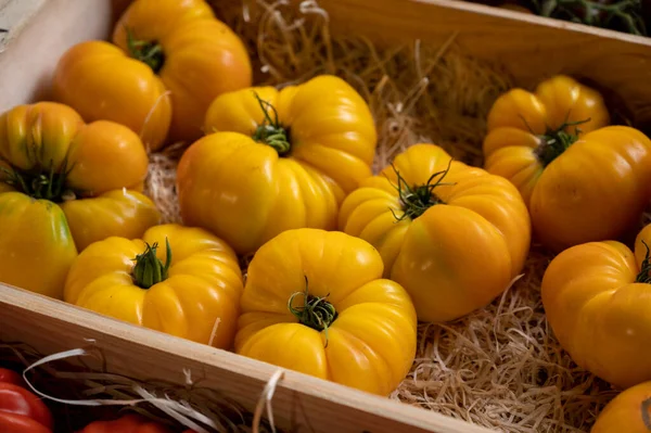 Colorato Francese Pomodori Maturi Gustosi Assortimento Sul Mercato Provenzale Cassis — Foto Stock