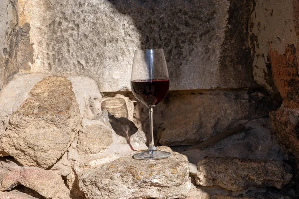 Tasting Red Wine Old Wine Maker Pierres Dores Region Yellow — Stockfoto