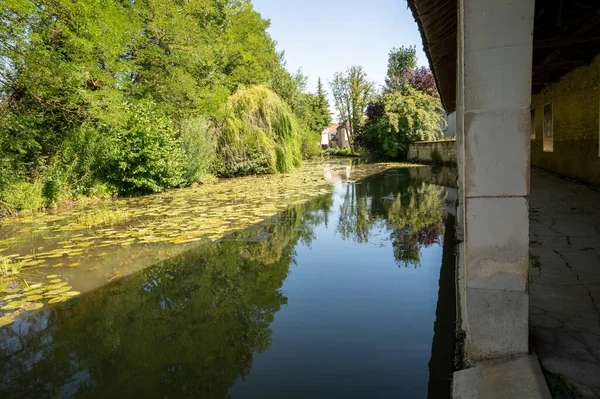 Burgundy şarap üretim bölgesinin kuzeyinde, Chablis köyünde Chardonnay üzümünden yapılan ünlü beyaz şarapla yürüyor, Fransa 'da yazın şarap turu yapıyor.