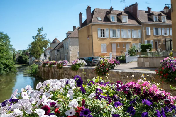 North Burgundy Wine Making Region Walking Chablis Village Famous White — Stockfoto