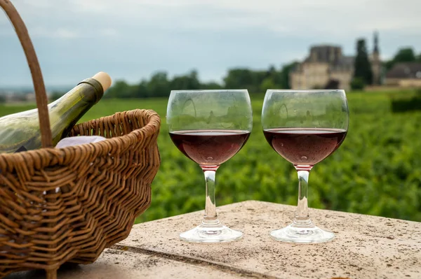 Wine tour with tasting of red dry wine and ruins of medieval castle of Chteauneuf du Pape ancient wine making village in France