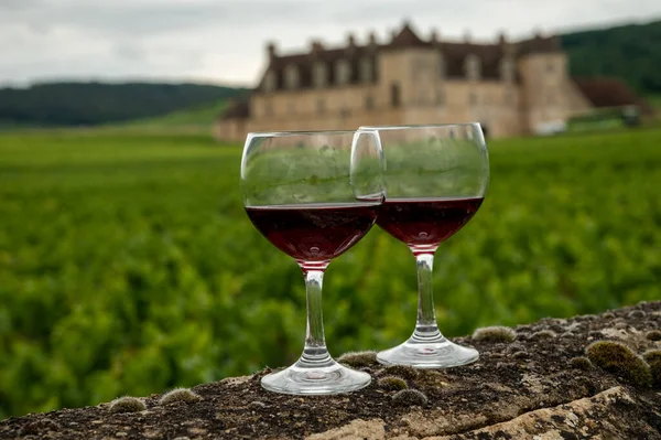 Mağaraları ziyaret edin ve Burgundy 'de şarap üreten ve arka planda şatosu olan bir bölge olan Burgundy' deki büyük ve büyük cru üzüm bağlarında cam şarap tadında kırmızı Pinot şarabı tatın.