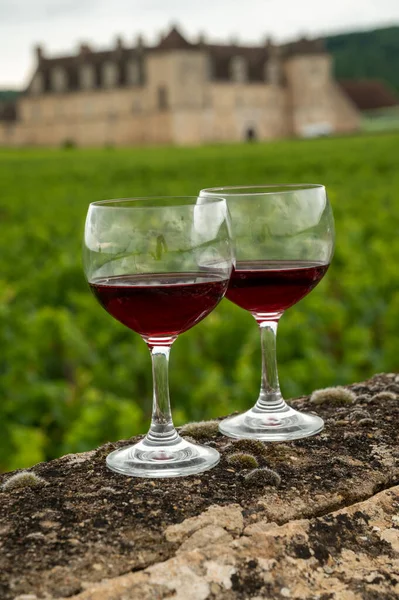 Visit caves and tasting of red dry pinot noir wine in glass on premier and grand cru vineyards in Burgundy wine making region with chateau on background, France