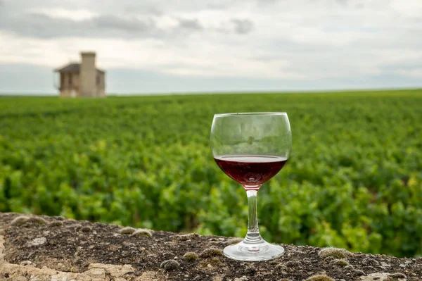 Mağaraları ziyaret edin ve Burgundy 'de şarap üreten ve arka planda şatosu olan bir bölge olan Burgundy' deki büyük ve büyük cru üzüm bağlarında cam şarap tadında kırmızı Pinot şarabı tatın.