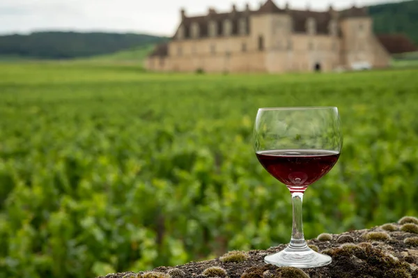 Mağaraları ziyaret edin ve Burgundy 'de şarap üreten ve arka planda şatosu olan bir bölge olan Burgundy' deki büyük ve büyük cru üzüm bağlarında cam şarap tadında kırmızı Pinot şarabı tatın.