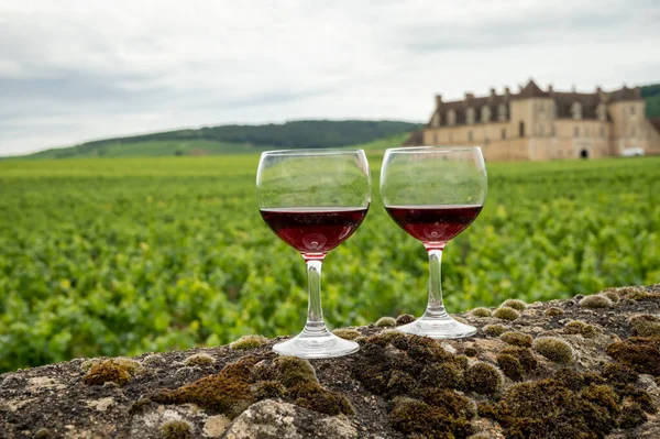 Mağaraları ziyaret edin ve Burgundy 'de şarap üreten ve arka planda şatosu olan bir bölge olan Burgundy' deki büyük ve büyük cru üzüm bağlarında cam şarap tadında kırmızı Pinot şarabı tatın.