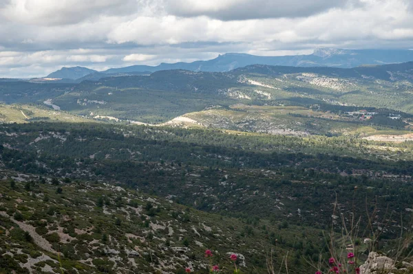 La Ciotat 'tan Cassis' e giden turistik rota D141, kumlu kireçtaşı uçurumları ve yeşil çam ormanları panoramik manzara, Fransa 'nın Provence kentinde tatil