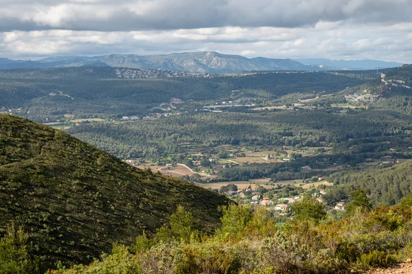 La Ciotat 'tan Cassis' e giden turistik rota D141, kumlu kireçtaşı uçurumları ve yeşil çam ormanları panoramik manzara, Fransa 'nın Provence kentinde tatil