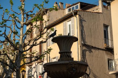 Güney Fransa 'da güneşli bir gün, eski Provencal kıyı kasabası Cassis' te yürüyor, dar sokaklar ve renkli binalar, Provence, Fransa ilkbaharda