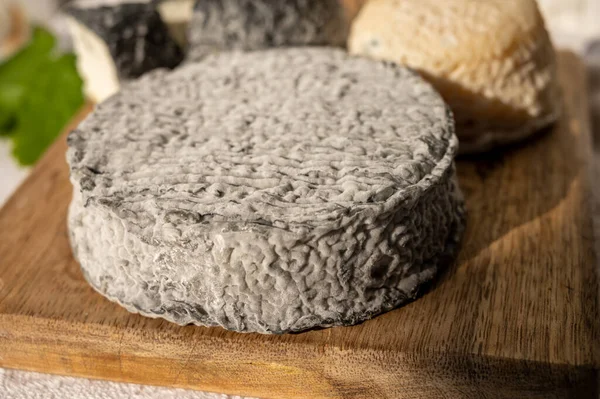 Fransız keçi peyniri crottin ve selles-sur-cher Cassis, Provence, Fransa 'nın limanındaki teknelerde peynir tatma ile servis edilir.