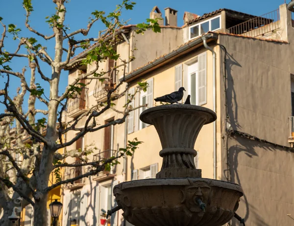 Sunny Day South France Walking Ancient Provencal Coastal Town Cassis — Foto de Stock