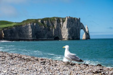 Tebeşir kayalıkları, Atlantik okyanusu ve Fransa 'nın Normandiya eyaletindeki Porte d' Aval kemerindeki panoramik manzara. Turistler için tatil yeri.