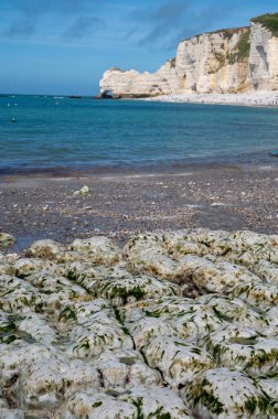 Alçak gelgit dönemi ve okyanusun dibindeki beyaz taşların manzarası ve Fransa 'nın Normandiya eyaletindeki Porte d' Aval kemerinin tebeşir kayalıkları. Turistler için tatil yeri.