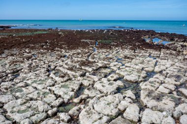 Alçak gelgit dönemi ve okyanusun dibindeki beyaz taşların manzarası ve Fransa 'nın Normandiya eyaletindeki Porte d' Aval kemerinin tebeşir kayalıkları. Turistler için tatil yeri.