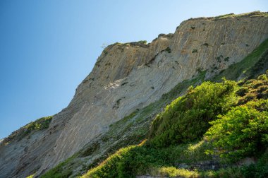 Zumaia 'nın Atlantik kıyısındaki alçak gelgitte, İspanya' nın Bask Bölgesi 'nde dik eğimli sinek jeolojik oluşumuna bakın.