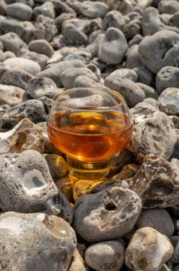 Etretat, Normandiya, Fransa 'nın çakıl taşları üzerinde elma şarabı ve gri taşlar.