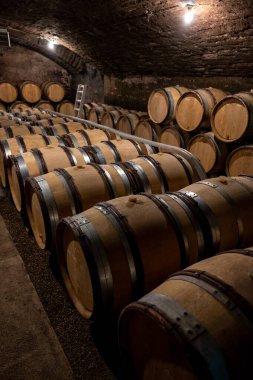 Stages of wine production from fermentation to bottling, visit to wine cellars in Cote d'Or, Burgundy, France, Aging in wooden barrels.