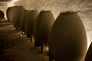 Stages of wine production from fermentation to bottling, visit to wine cellars in Cote d'Or, Burgundy, France, Aging in concrete eggs vats.